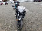 Lot #3309648948 2021 KAWASAKI EX400