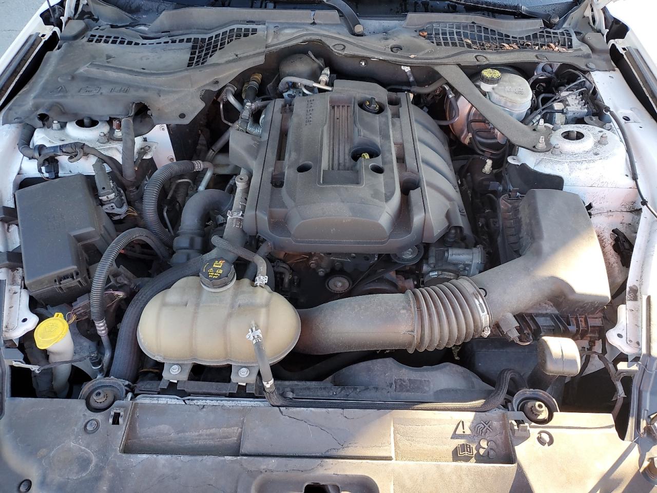 Lot #3312295775 2018 FORD MUSTANG