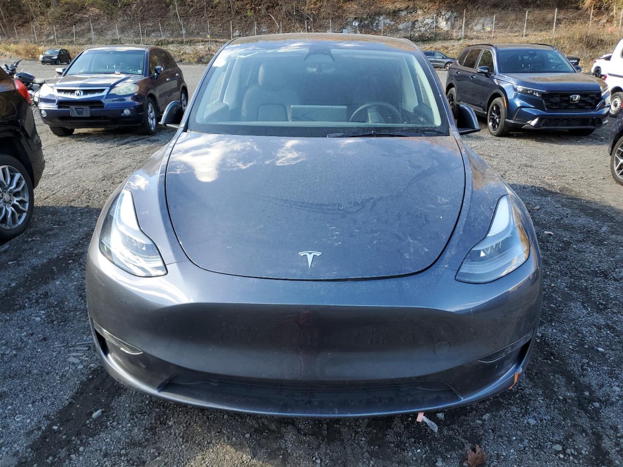 Lot #3301603627 2023 TESLA MODEL Y