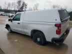 Lot #3304629949 2023 CHEVROLET SILVERADO