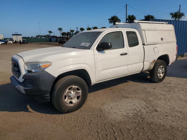 2024 TOYOTA TACOMA ACC #3292427552