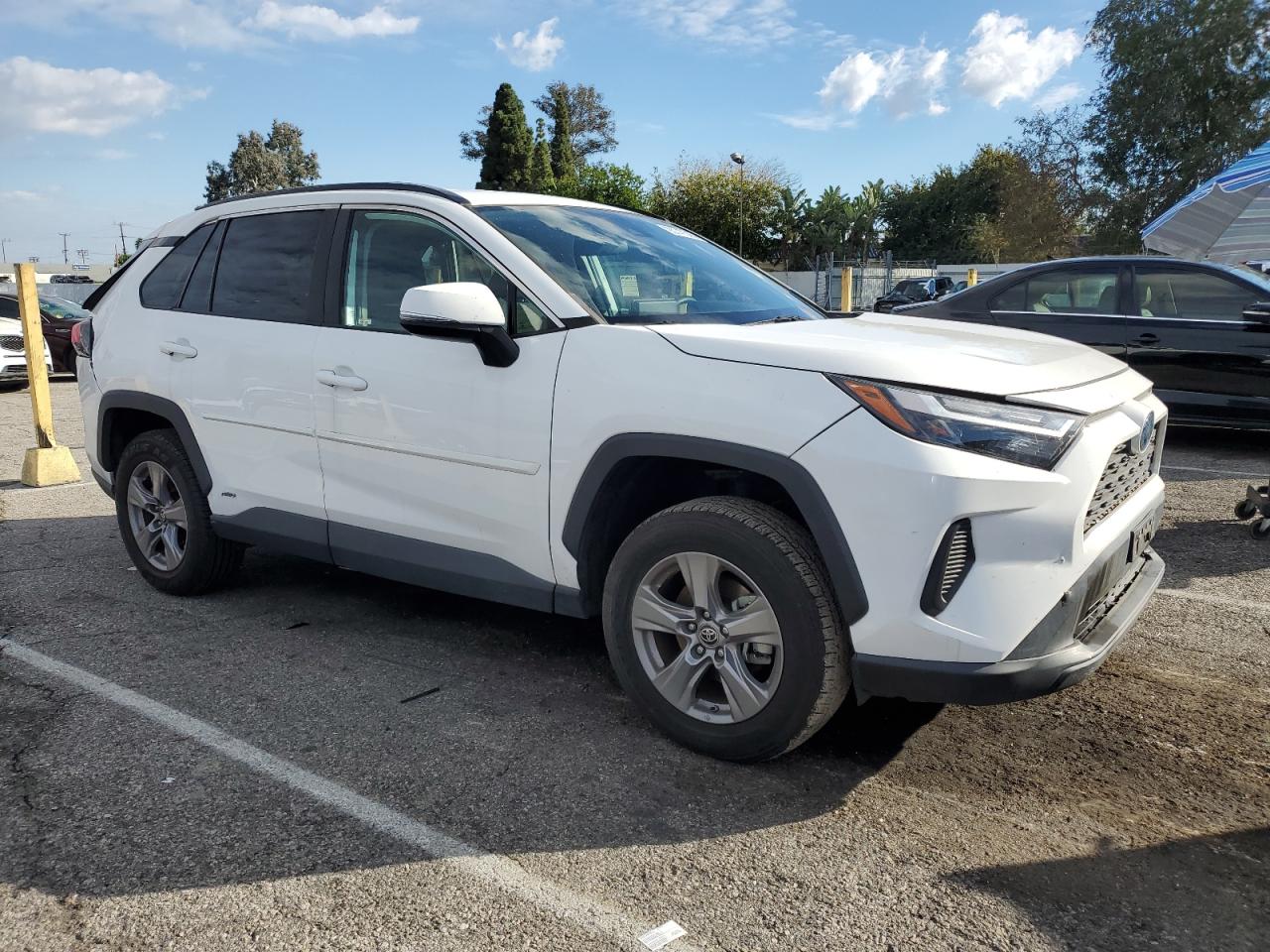 Lot #3311635228 2023 TOYOTA RAV4 LE