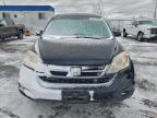 Lot #3304563456 2011 HONDA CR-V EXL