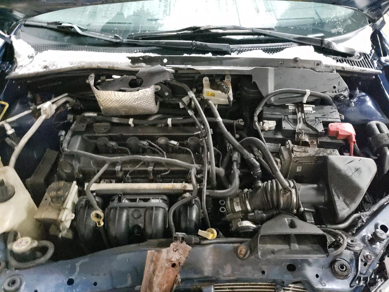 Lot #3285795670 2009 FORD FOCUS SE