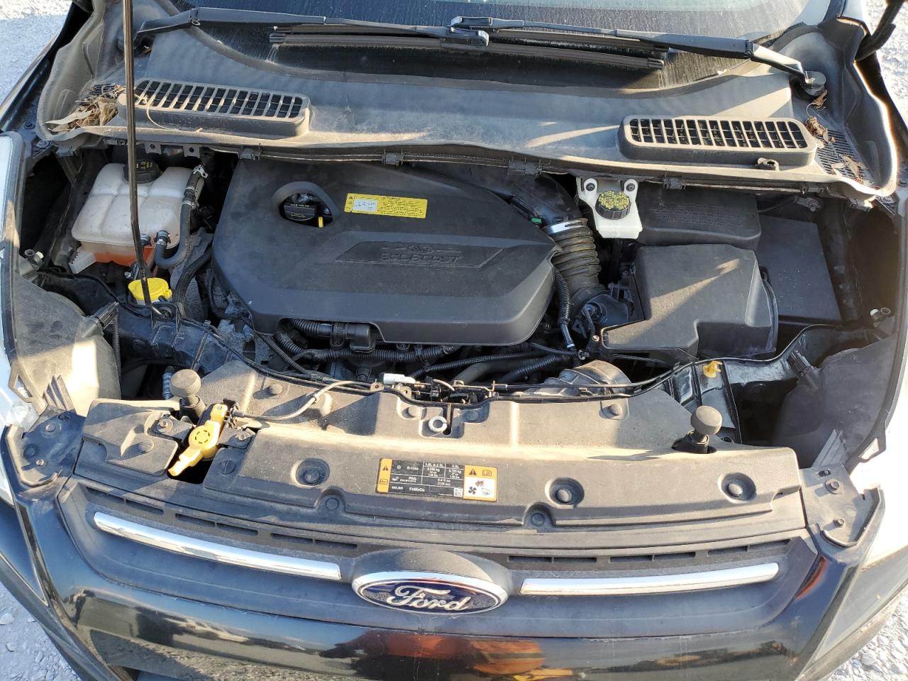 Lot #3301608643 2014 FORD ESCAPE SE