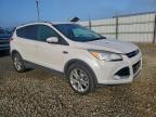Lot #3310463145 2014 FORD ESCAPE TIT