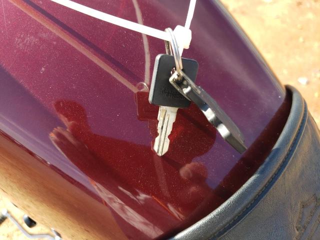 2002 HARLEY-DAVIDSON XL883 #3297918790