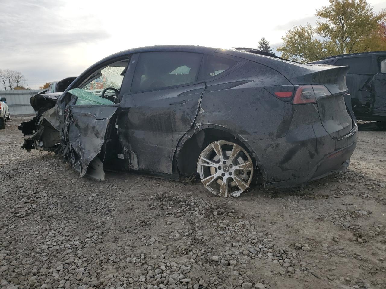 Lot #3318874012 2021 TESLA MODEL Y