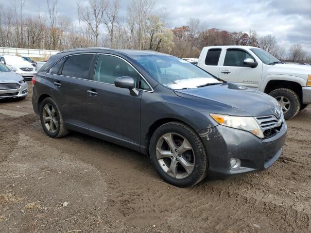 2010 TOYOTA VENZA #3287383987