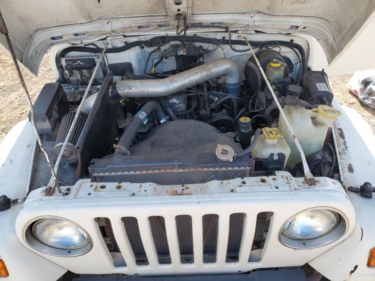 Lot #3285929559 2002 JEEP WRANGLER /