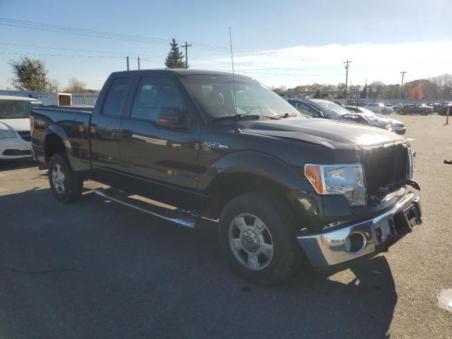 2010 FORD F150 SUPER - 1FTEX1E84AFA06923