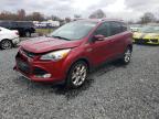Lot #3292514687 2014 FORD ESCAPE TIT
