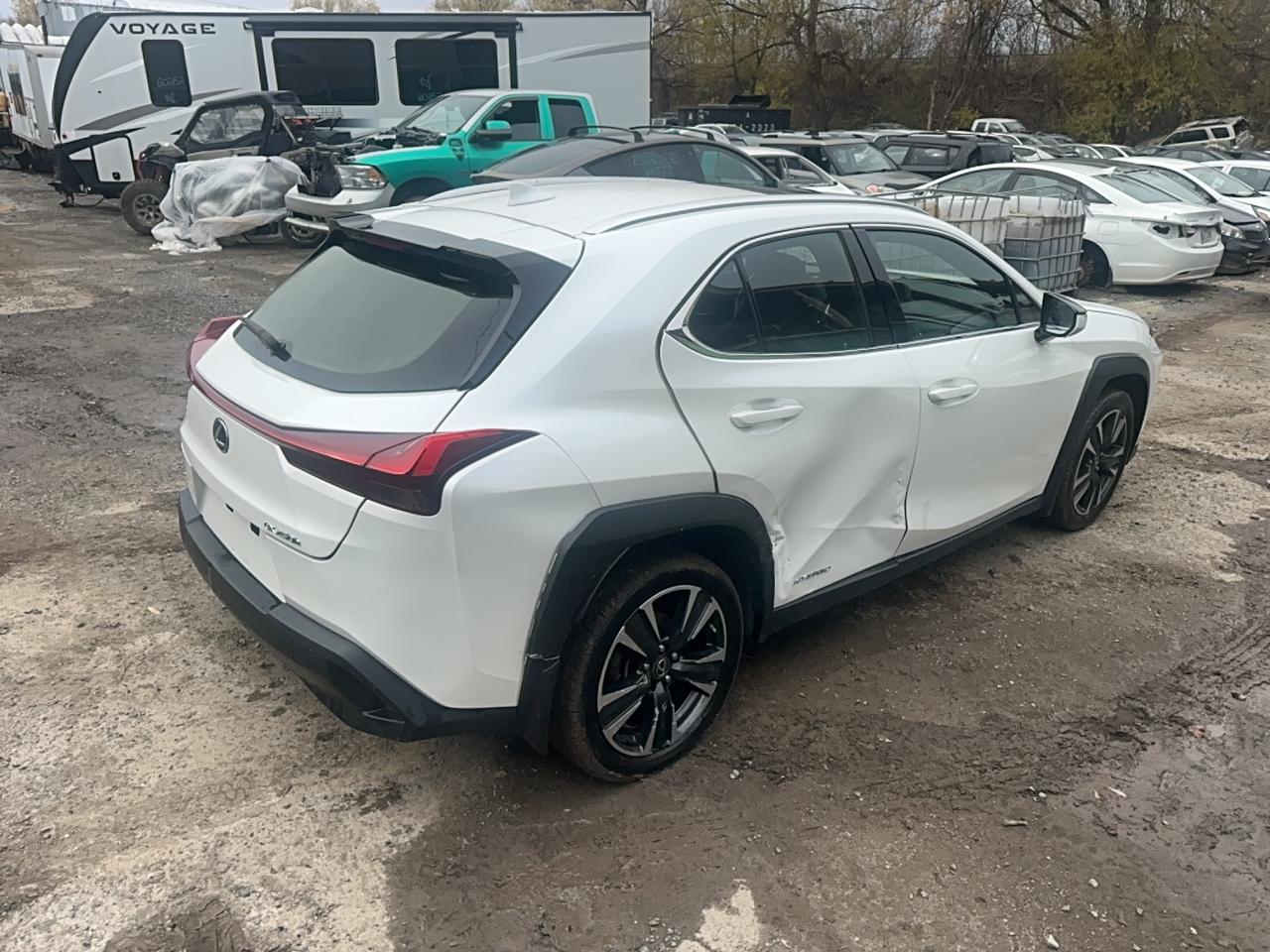 LEXUS UX 250H