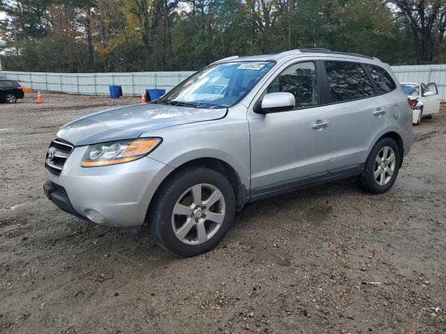 Global Auto Auctions: 2009 HYUNDAI SANTA FE S