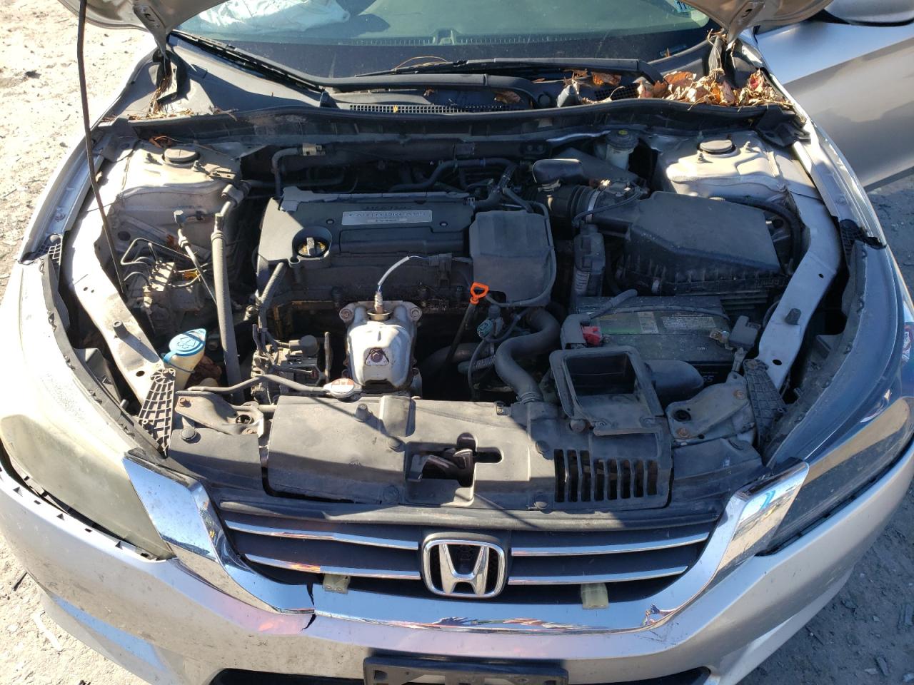 Lot #3301847370 2014 HONDA ACCORD LX