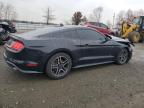 Lot #3309582552 2023 FORD MUSTANG