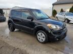 Lot #3292384309 2012 KIA SOUL