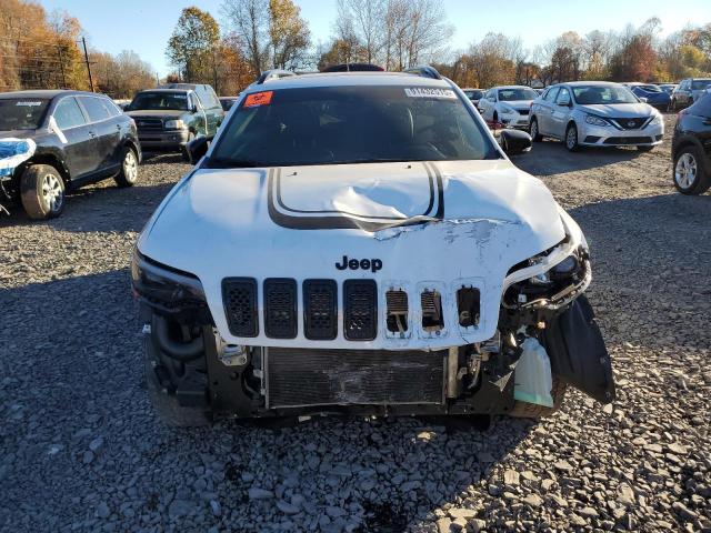 2022 JEEP CHEROKEE L - 1C4PJMCX4ND556324