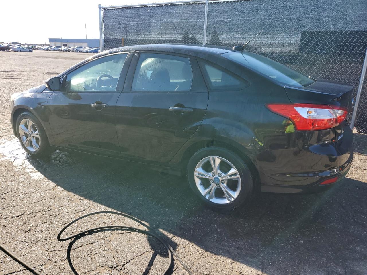 Lot #3303601932 2013 FORD FOCUS SE