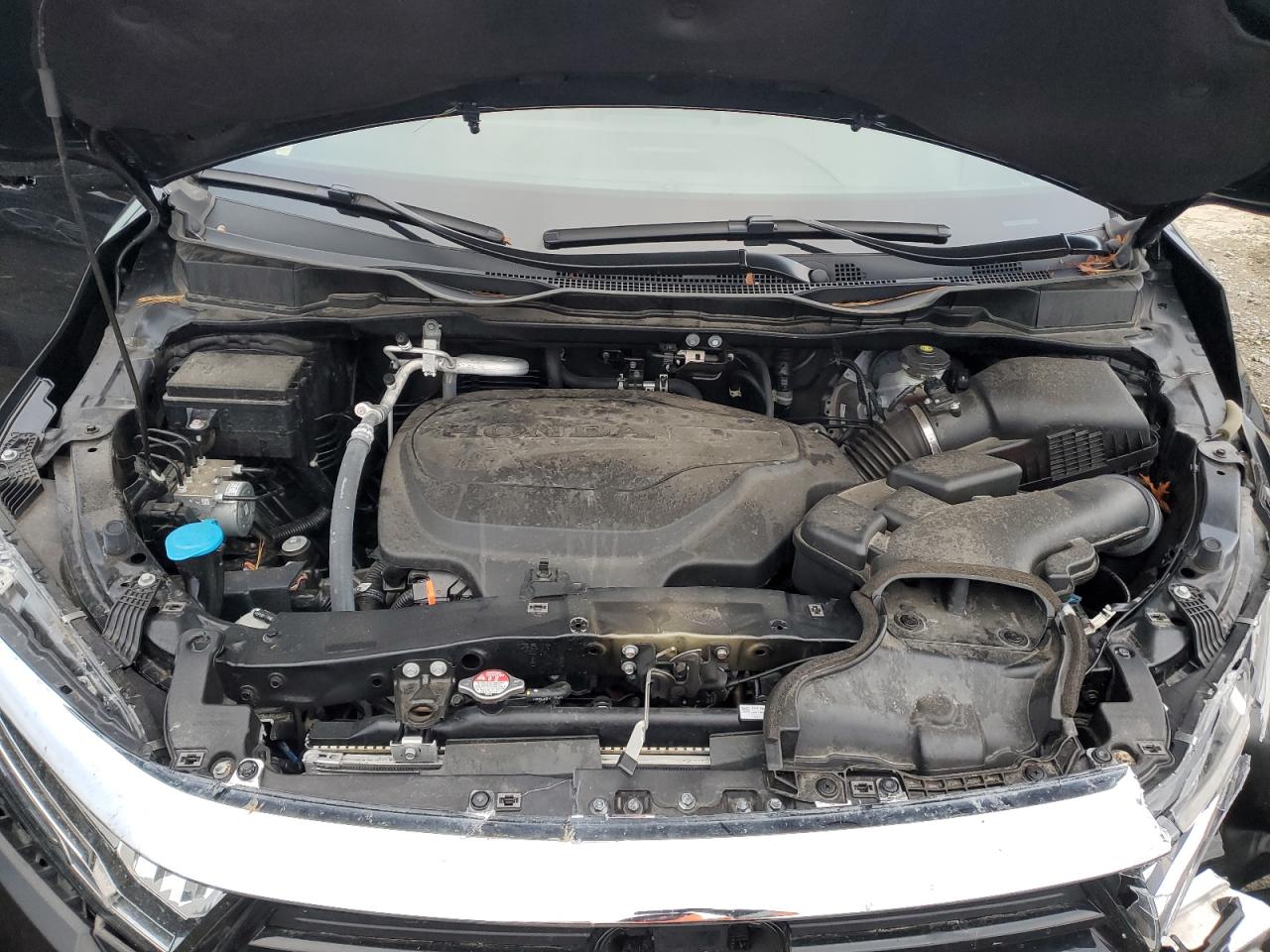 Lot #3311700236 2024 HONDA ODYSSEY EL