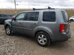 Lot #3293350435 2009 HONDA PILOT EX