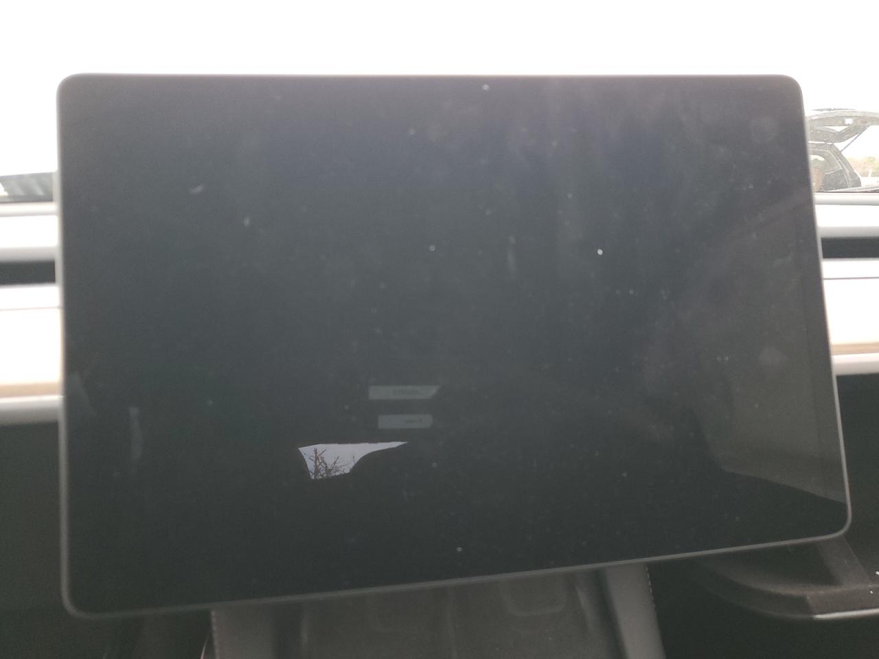 Lot #3315888115 2024 TESLA MODEL Y