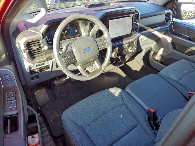 2025 FORD F150 XLT #3303639949