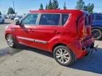 Lot #3309248630 2013 KIA SOUL +