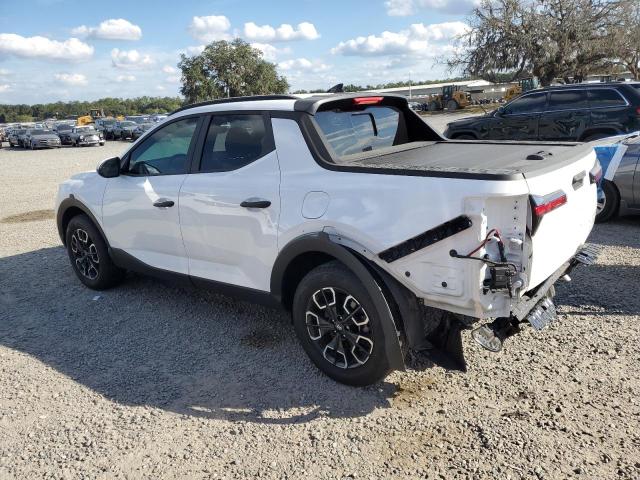 2024 HYUNDAI SANTA CRUZ #3303885729