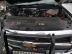 Lot #3305655735 2016 CHEVROLET SILVERADO