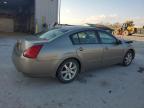 Lot #3294495500 2006 NISSAN MAXIMA SE