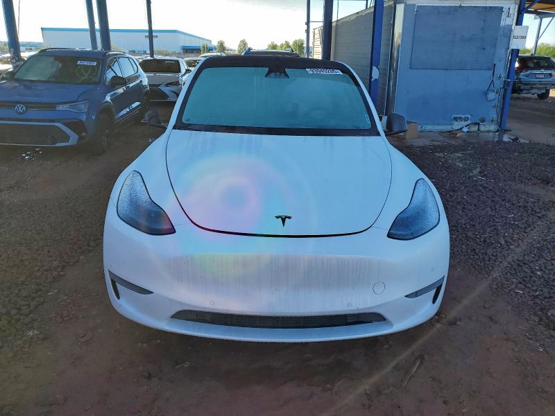 2021 TESLA MODEL Y #3301716445