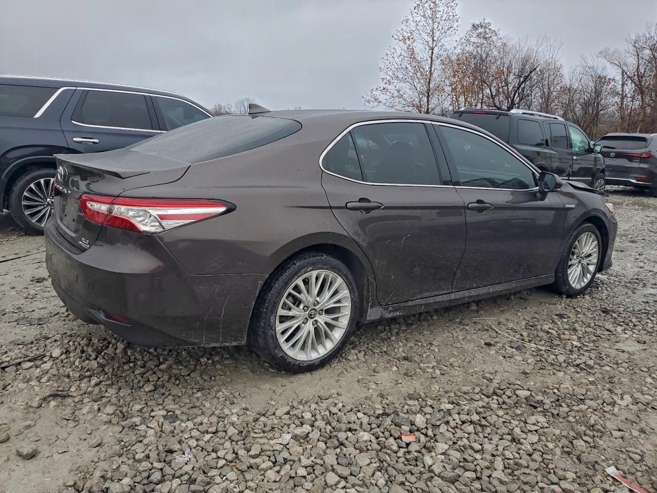 TOYOTA CAMRY XLE