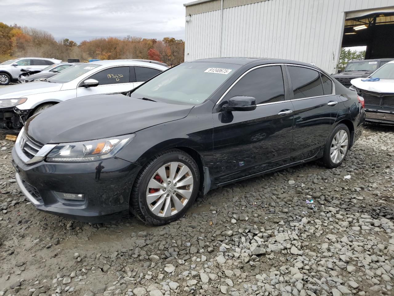 HONDA ACCORD EXL