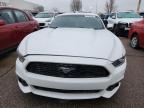 Lot #3305397404 2015 FORD MUSTANG