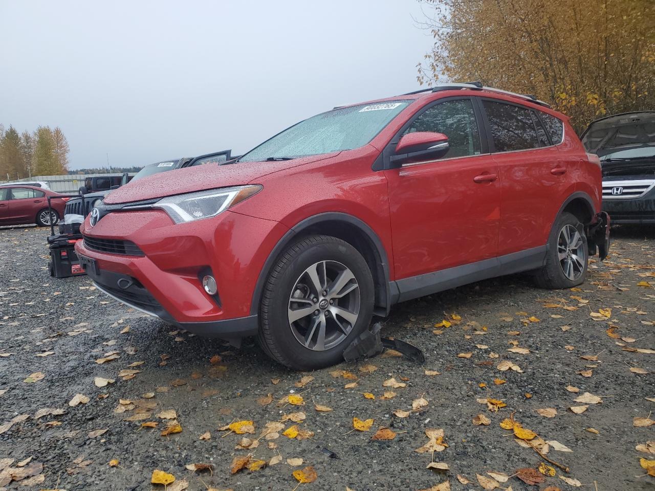 TOYOTA RAV4 XLE