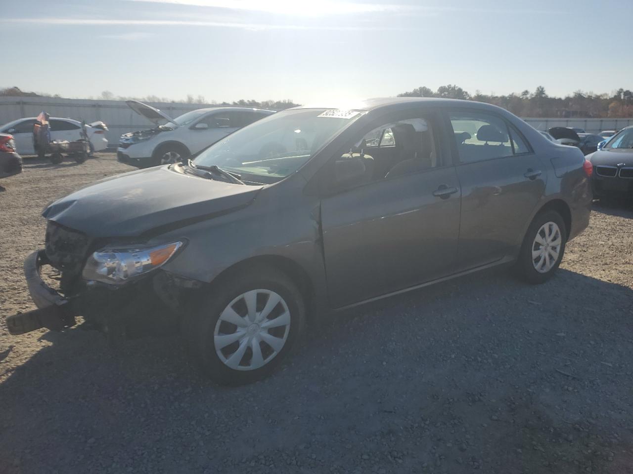 Lot #3301847393 2011 TOYOTA COROLLA BA