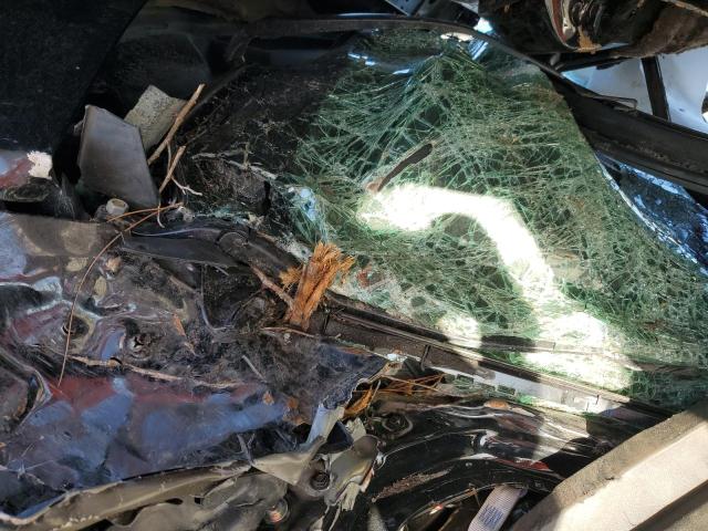 2019 HONDA PASSPORT E #3301834452