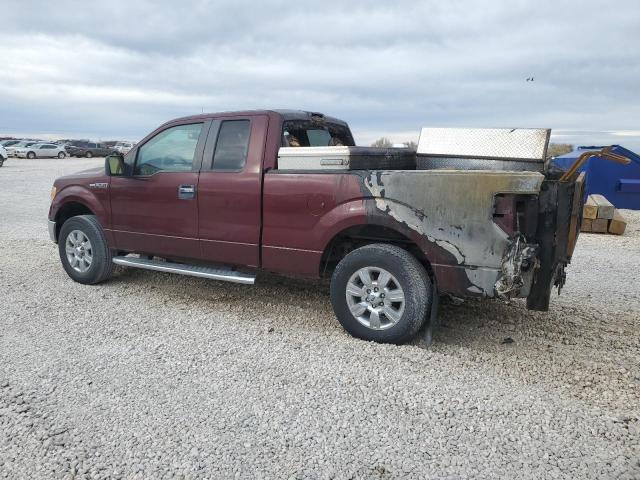 2010 FORD F150 SUPER - 1FTFX1EV1AKE29346