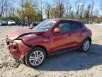 Lot #3293565961 2014 NISSAN JUKE S/SV/