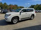 Lot #3300173813 2012 LEXUS GX 460