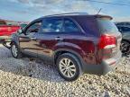 Lot #3305597117 2011 KIA SORENTO EX