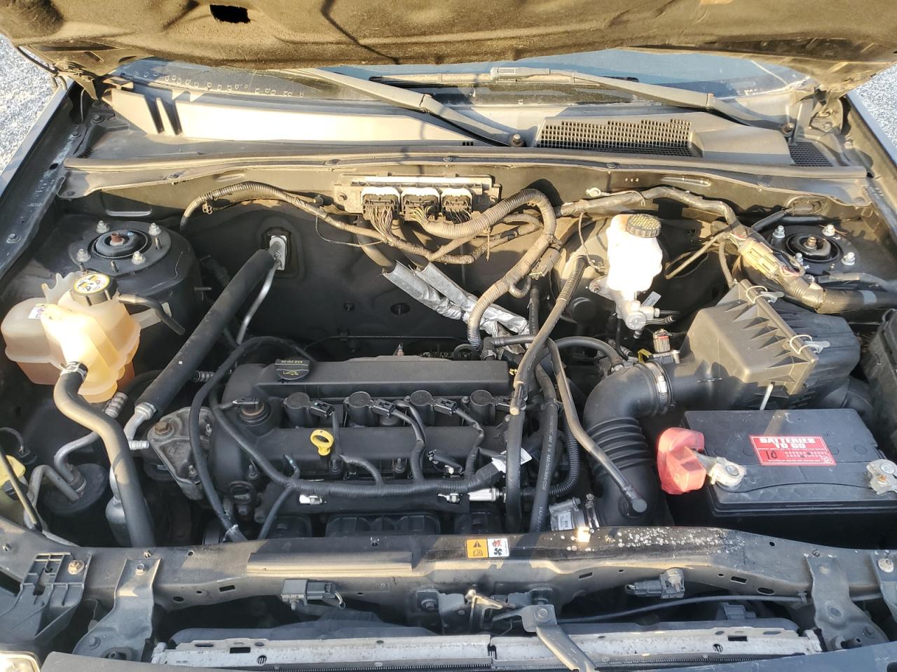 Lot #3303655931 2010 FORD ESCAPE XLT