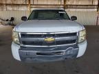 Lot #3304688905 2009 CHEVROLET SILVERADO