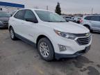 Lot #3303772418 2019 CHEVROLET EQUINOX LS