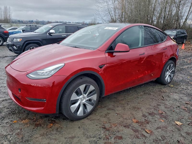 2023 TESLA MODEL Y #3302964626