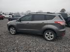 Lot #3294349886 2013 FORD ESCAPE SE