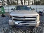 Lot #3305539080 2009 CHEVROLET SILVERADO