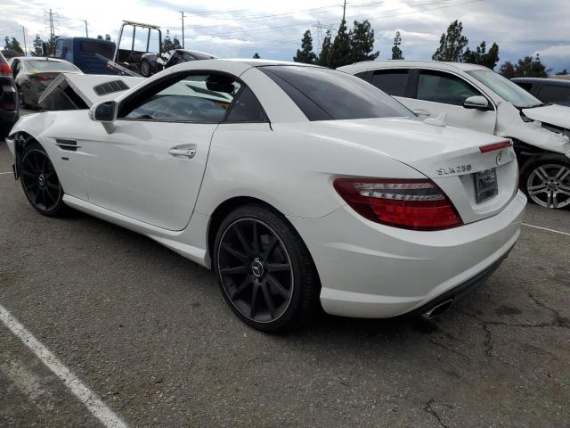 2014 MERCEDES-BENZ SLK 250 #3304889546