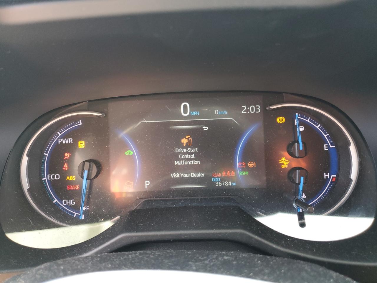 Lot #3311635228 2023 TOYOTA RAV4 LE